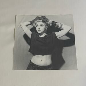 Vintage Madonna Vinyl Slip Cover Photo